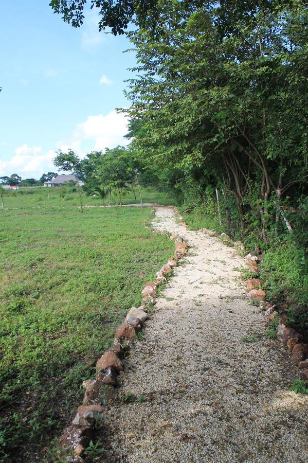 Real Primaveras Campestre Escárcega Kültér fotó